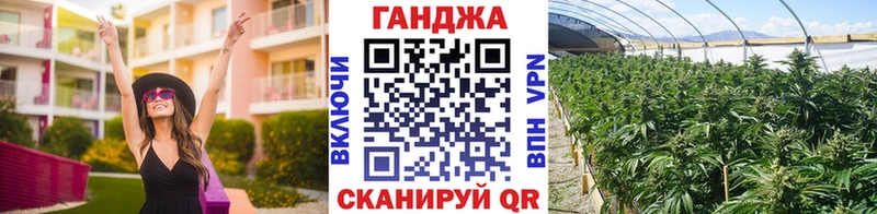 Магазины продажи наркотиков Электрогорск Гашиш  Альфа ПВП  МЕФ 