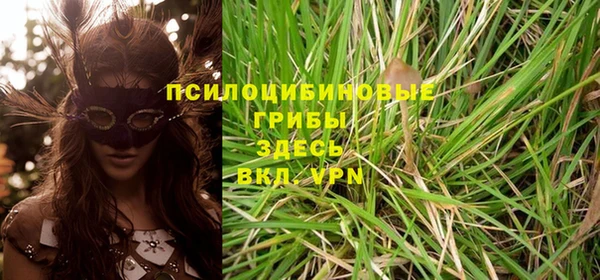 стафф Армянск