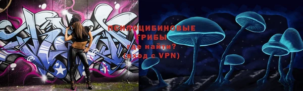 меф Инсар