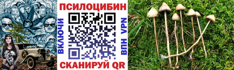 Псилоцибиновые грибы Magic Shrooms  блэк спрут зеркало  Электрогорск 
